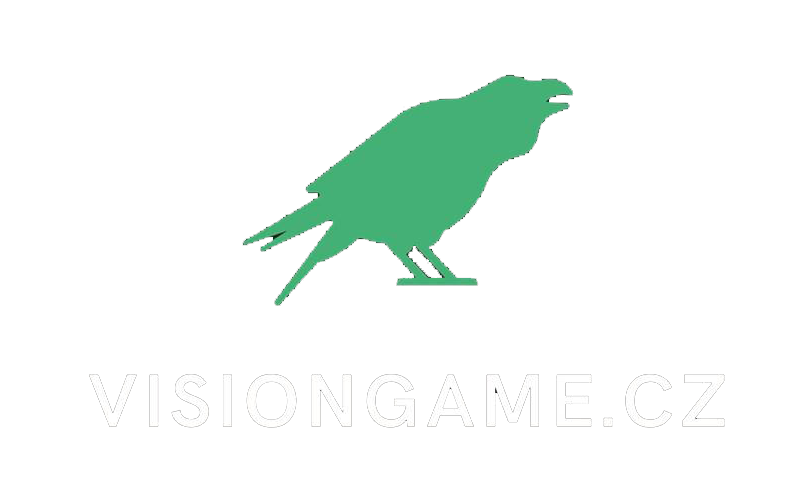 Vision Game